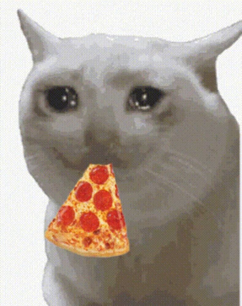 a white cat is crying while holding a slice of pepperoni pizza in its mouth .