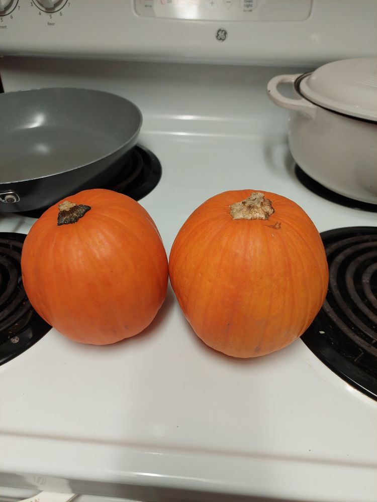 Two small, cute pumpkins on my stove.