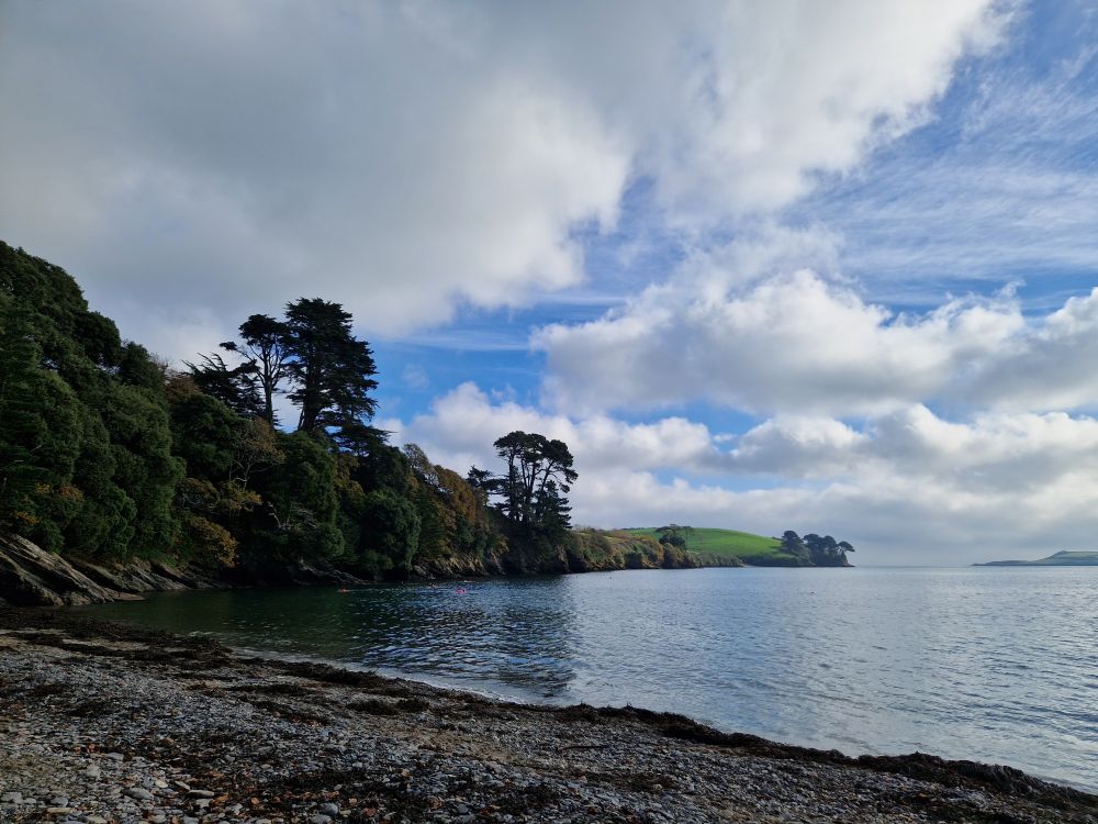 A rocky beach looking out over tree studded headland to the sea.