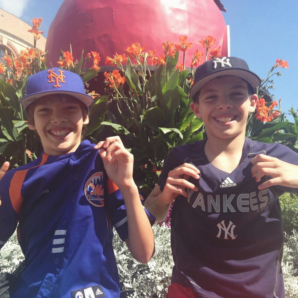 NY baseball fan twins 
