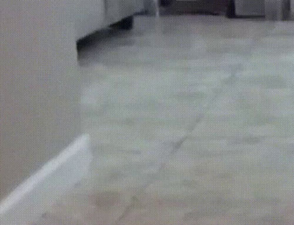 a ferret is walking on a tiled floor .