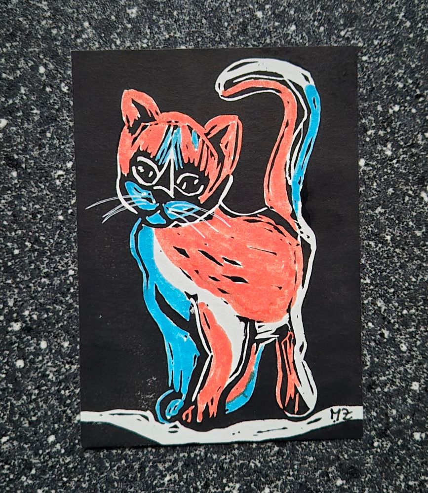 Ein rotblau gefärbtes Kätzchen vor schwarzem Hintergrund auf weißem Boden, dass den Betrachter freundlich anschaut. 