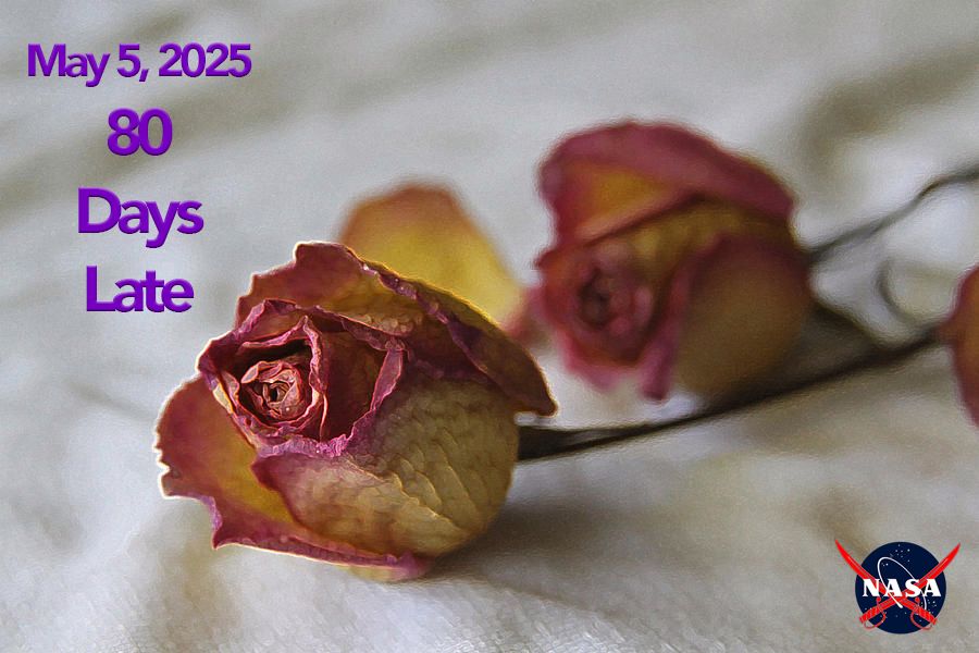 A background of fading ROSES with the overlaid text "May 5, 2025   80 Days Late" and the pirate NASA logo (NASA meatball with 2 crossed swords instead of the swoosh)