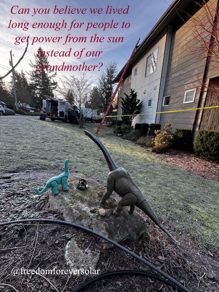 A photo of two toy dinosaurs in front of a house as solar panels are installed. The text quotes one dinosaur saying “Can you believe we lived long enough for people to get power from the sun instead of our grandmothers?”
Tagged on the post is the company Freedom Forever Solar. 