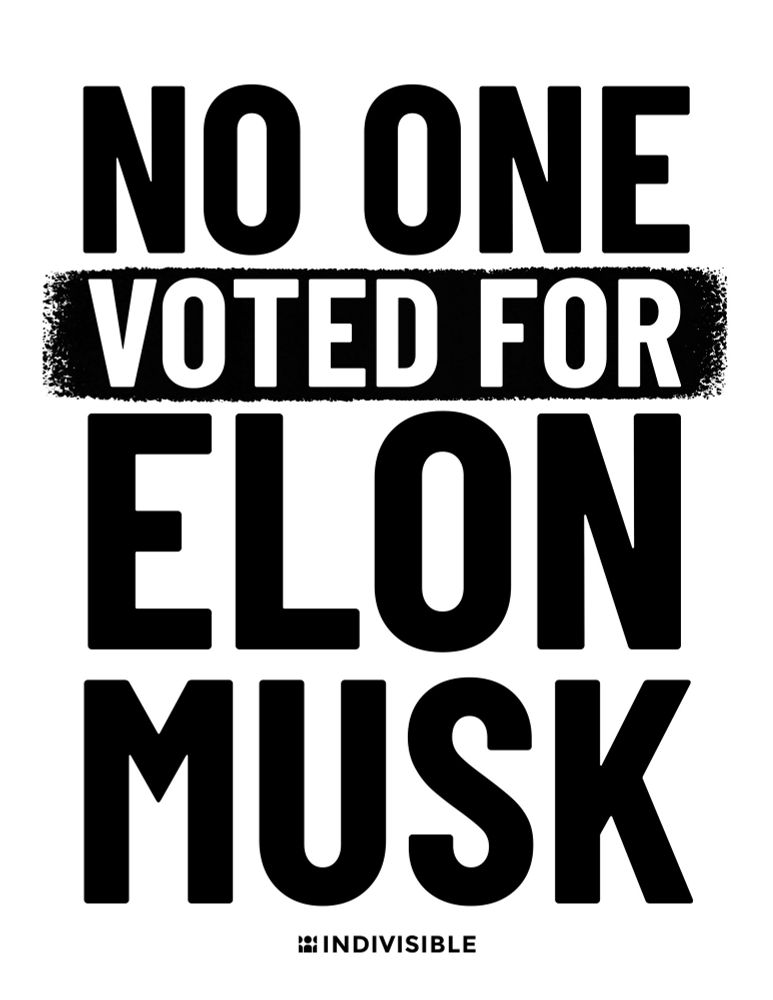 No one voted for Elon Musk poster