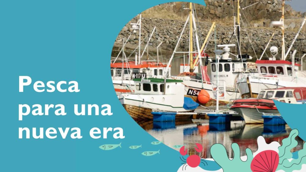 Un nuevo informe recopila ejemplos viables de pesca artesanal que contribuyen al desarrollo local y a la transición ecológica • Ecologistas en Acción