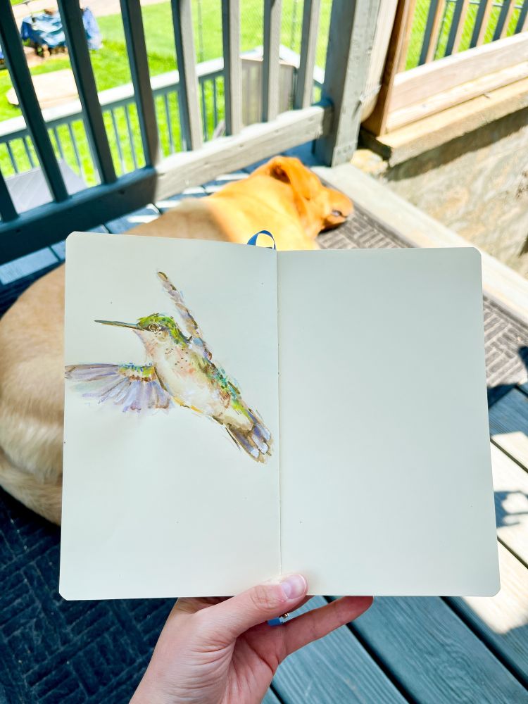 A sketchbook page featuring a female ruby-throated hummingbird in flight. In the background of the photo, a dog sleeps in the sun. 