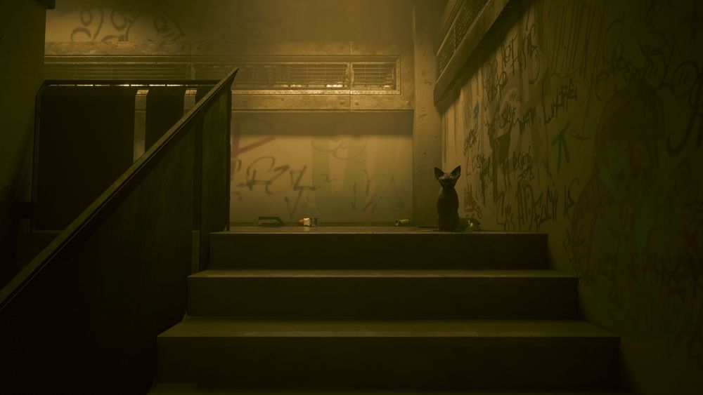 Nibbles the cat, in a dimly lit stairwell