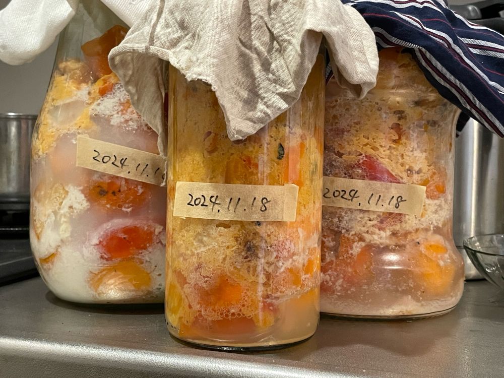 柿酢しこみ5日目。へたと汚れを取りハンマーで潰して、煮沸消毒した瓶に入れる。酸素を取り込むため、布で蓋をする。