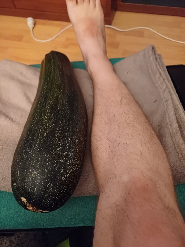 Zucchini neben meinen Unterschenkel.
Die Zucchini hat einen leicht größeren Durchmesser, Länge ist ungefähr gleich