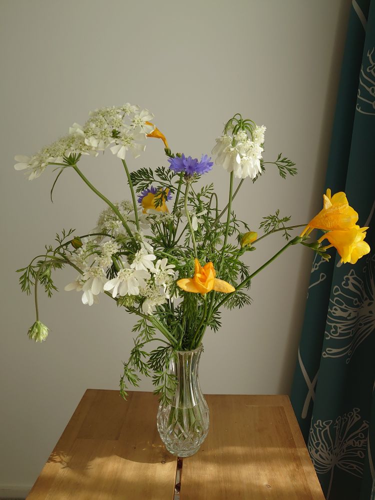 A small cut crystal vase with blue, yellow and white flowers, sunlit 