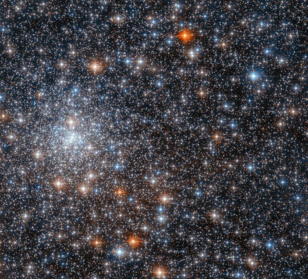 A myriad of stars shine in various hues of white, blue, and orange, all against a black backdrop of space.