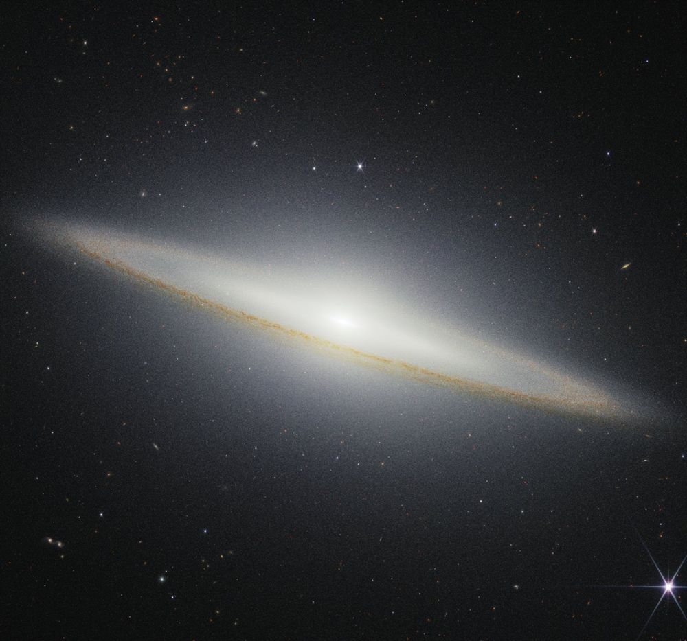 Image of a galaxy on the black background of space. The galaxy is a very oblong, brownish yellowish disk that extends from left to right at an angle (from about 10 o’clock to 5 o’clock). Mottled dark brown patches rim the edge of the disk and are particularly prominent where they cross directly in front of the galaxy. The galaxy’s center glows white and extends above and below the disk. There are different colored dots, distant galaxies, speckled among the black background of space surrounding the galaxy. At the bottom right, there is a particularly bright foreground star with Webb’s signature diffraction spikes.