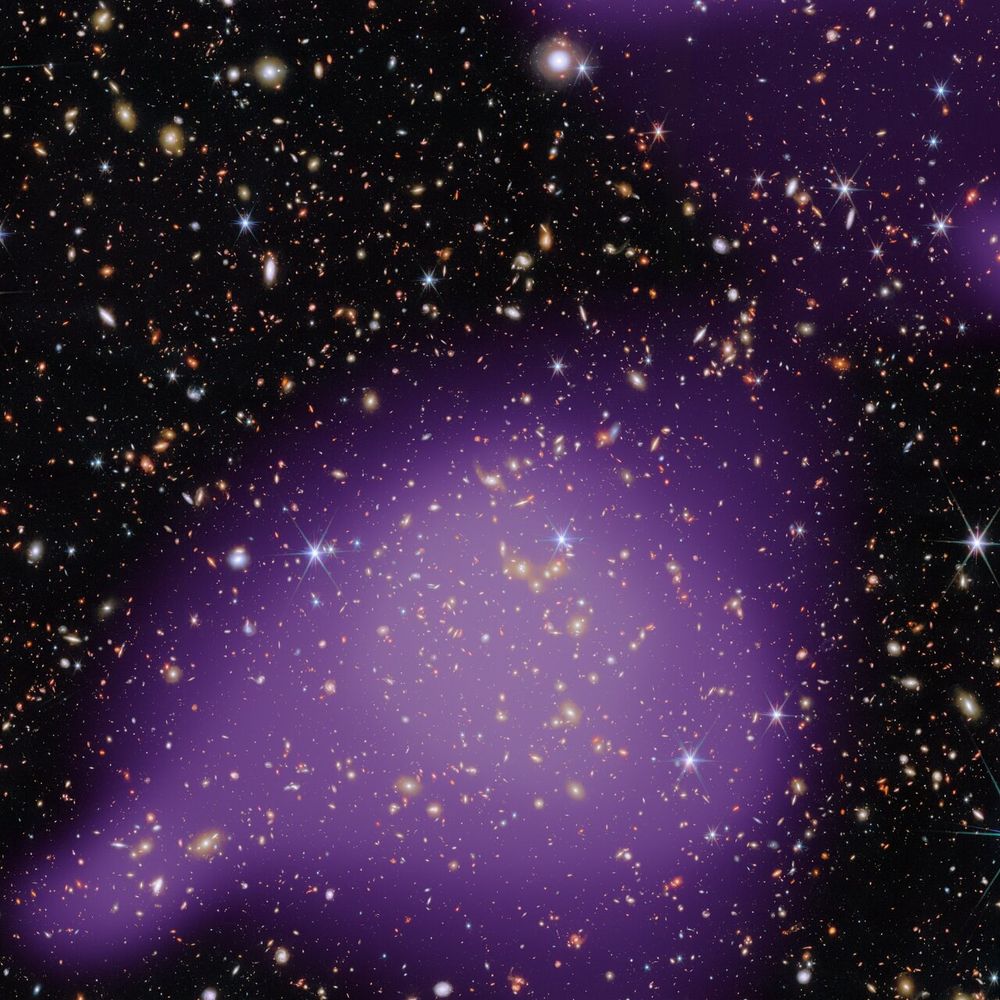 An area of deep space with thousands of galaxies in various shapes and sizes on a black background. A few gold-colored galaxies are bunched closely together in the center. A large, translucent purple cloud lies over the galaxies, thickest across the center where the gold galaxies sit, and fainter up to the right. This shows where X-rays are emitted by hot gas in the group of galaxies.