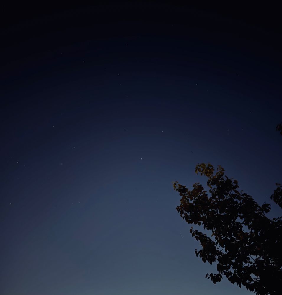 A starry night sky above the trees on the right side of the image. This view is from my balcony.
