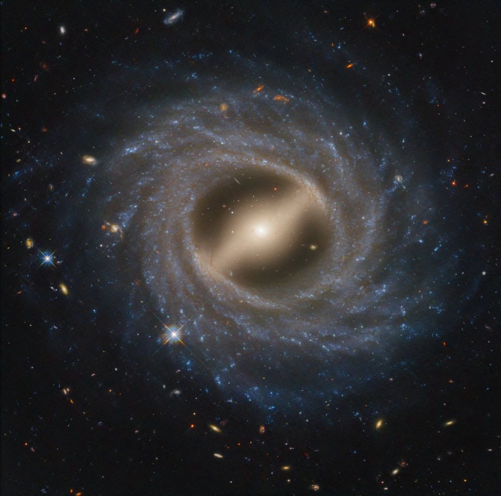 A barred spiral galaxy takes up the majority of the view. At its center is a milky yellow, flattened oval that extends bottom left to top. Within the oval is a bright central region that looks circular, with the very center the brightest. In the bright central region is what looks like a bar, extending from top left to bottom right. Around this is a thick swath of blue stars speckled with white regions. Multiple arms wrap up and around in a counterclockwise direction, becoming fainter the farther out they are. Both the white core and the spiral arms are intertwined with dark streaks of dust. The background of space is black. Thousands of distant galaxies in an array of colors are speckled throughout.