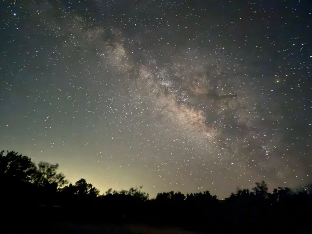 The Milky Way streaking across a starry night sky above the trees.
