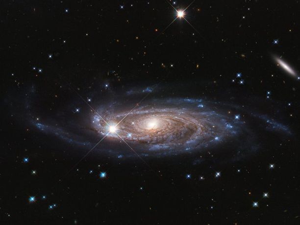 Slightly oblique view of a spiral galaxy with a glowing yellow central core and two spiral arms that wind clockwise from the center. The arms consist of dark reddish-brown dust trails that are vein-like and hazy clouds of blue stars. The outer regions of the galaxy appear bluer, with bright clusters of blue stars sparsely lining the outer edges of the spiral arms. There are a few foreground stars that have bright white or blue cores with colorful fuzzy halos and four diffraction spikes radiating from their centers.  Scattered across the dark background are thousands of faint objects that vary in size, shape, and color. Most appear as small dots, ovals, or lines in different shades of orange, red, and blue.