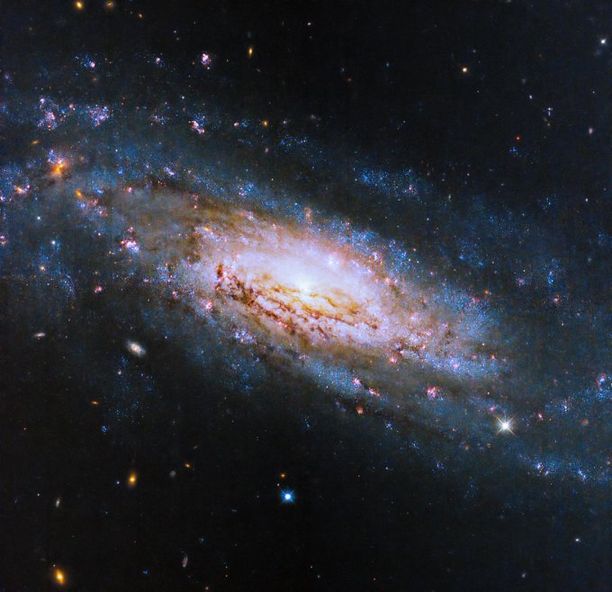 A massive spiral galaxy fills the image. A bright, yellow galactic core glows at the center, surrounded by spiral arms studded with pink stars and dark lanes of dust.