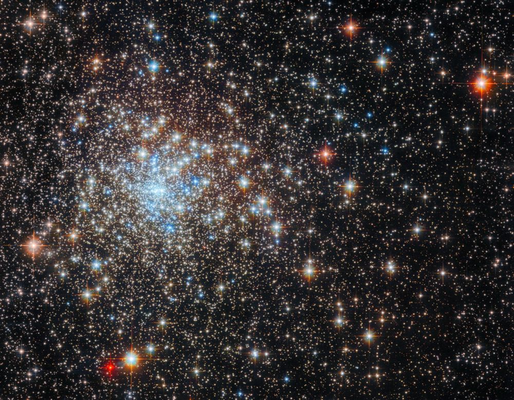 A dense cluster of bright stars. The core of the cluster is to the left and has a distinct group of blue stars. Surrounding the core are a multitude of stars in warmer colors. These stars are very numerous near the core and become more sparse, as well as more small and distant, out to the sides of the image. A few larger stars also stand in the foreground near the edges of the image.