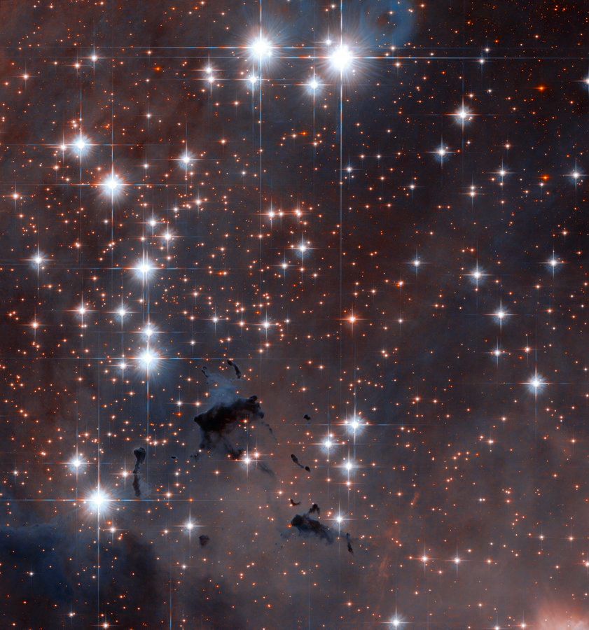 Several bright-white, bluish, and orange stars shine with diffraction spikes, interspersed throughout dark dust. Particularly dark regions of gas and dust are seen near the lower left.