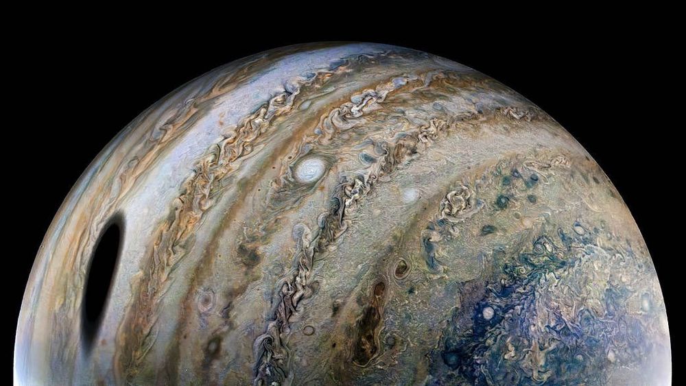 JunoCam captured this image from very close to Jupiter, making Ganymede’s shadow appear especially large. At the time the raw image was taken, the Juno spacecraft was about 44,000 miles (71,000 kilometers) above Jupiter’s cloud tops and 15 times closer to the planet than Ganymede.

An observer at Jupiter’s cloud tops within the oval shadow would experience a total eclipse of the Sun. Total eclipses are more common on Jupiter than Earth for several reasons: Jupiter has four major moons (Ganymede, Io, Callisto, and Europa) that often pass between Jupiter and the Sun, and since Jupiter’s moons orbit in a plane close to Jupiter’s orbital plane, the moon shadows are often cast upon the planet. Jupiter’s bands and clouds are visible, making stripes across the planet in various colors of white, orange, and blue on the poles. 

Image credit: NASA/JPL-Caltech/SwRI/MSSS,  processing: Thomas Thomopoulos