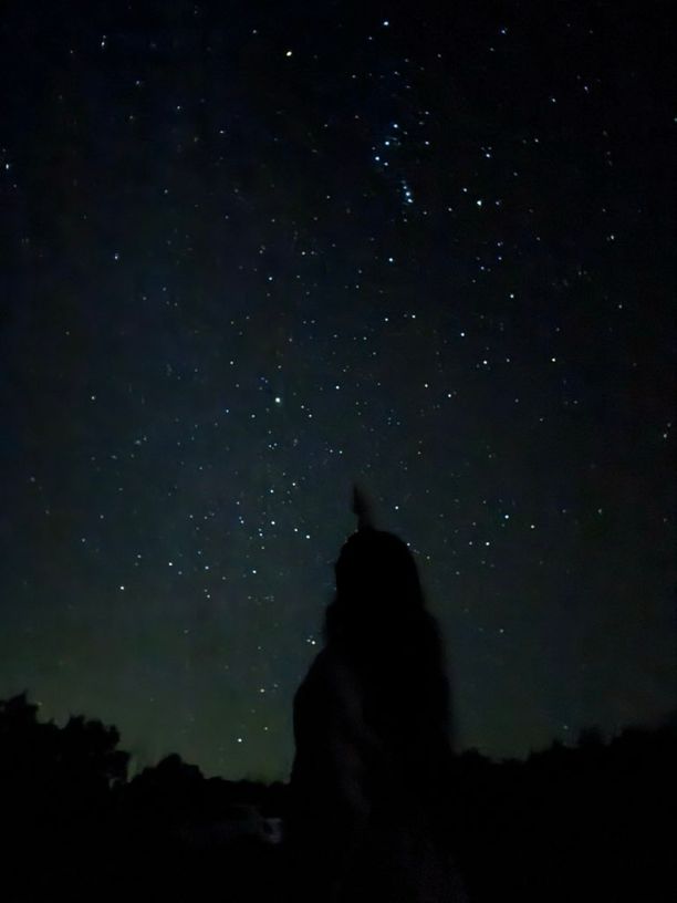 A picture of my silhouette pointing up under a starry night sky.