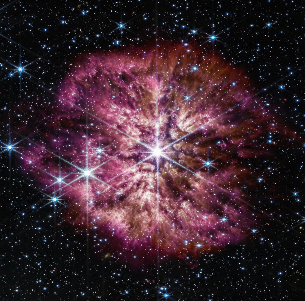 A prominent, eight-pointed star shines in bright white at the center of this image. A clumpy cloud of material surrounds this central star, with more material above and below than on the sides, in some places allowing background stars to peek through. The cloud material is a dark yellow closer to the star, and turns a pinkish purple at its outer edges. Combined together, the central star and its cloud resemble the delicate petals of a cherry blossom. The black background features many smaller white stars scattered throughout.