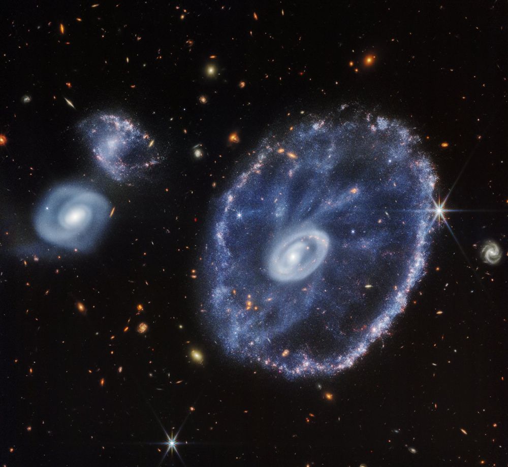 Image of a large galaxy on the right, with two smaller companion galaxies to the left. The large galaxy is ring-shaped, with an oval outer ring, and a small, off-center oval inner ring. The rings and space between are lit with blue plumes and dots. The companion galaxies to the left, one above the other, are much smaller than the main galaxy, and about the same size as each other. The galaxy above has similar coloring and many of the same features as the large ring galaxy, but more of a disturbed s-shape, with no distinct rings. The galaxy below is brighter with a whiter tinge. It has a diffuse spiral shape with a white core similar to that of the ring galaxy, but with a smoother texture. The background is full of more distant, orange-red colored galaxies of various shapes and sizes.