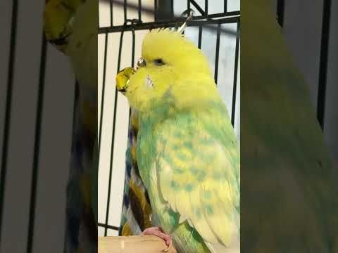 George has a message for YOU 🫵