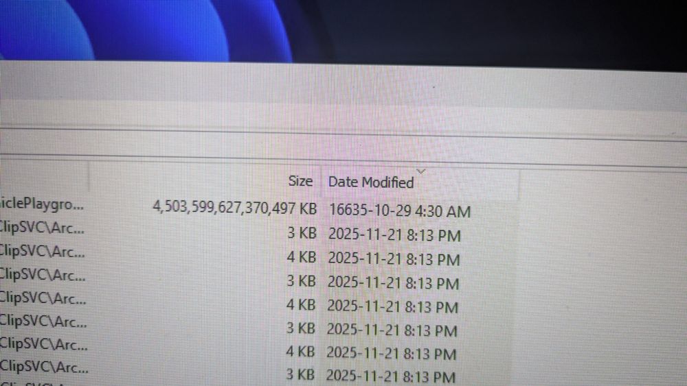 A photo of a computer screen, showing a file from 16635 that has a file size of 4,503,599,627,370,497 KB