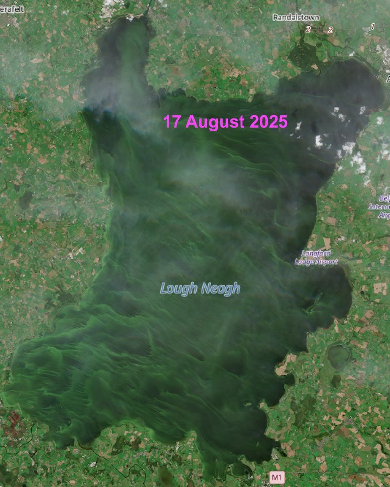 A photo of Lough Neagh on 17 August 2025