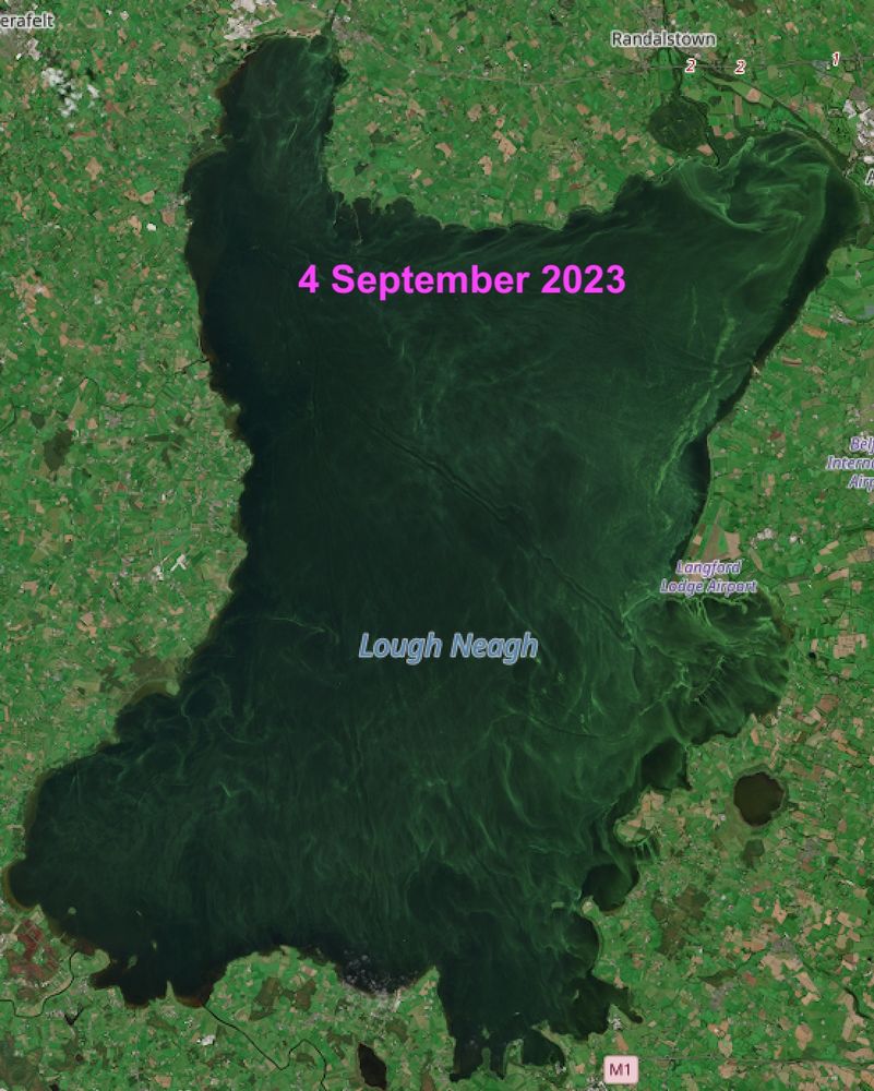 A photo of Lough Neagh on 4 September 2023