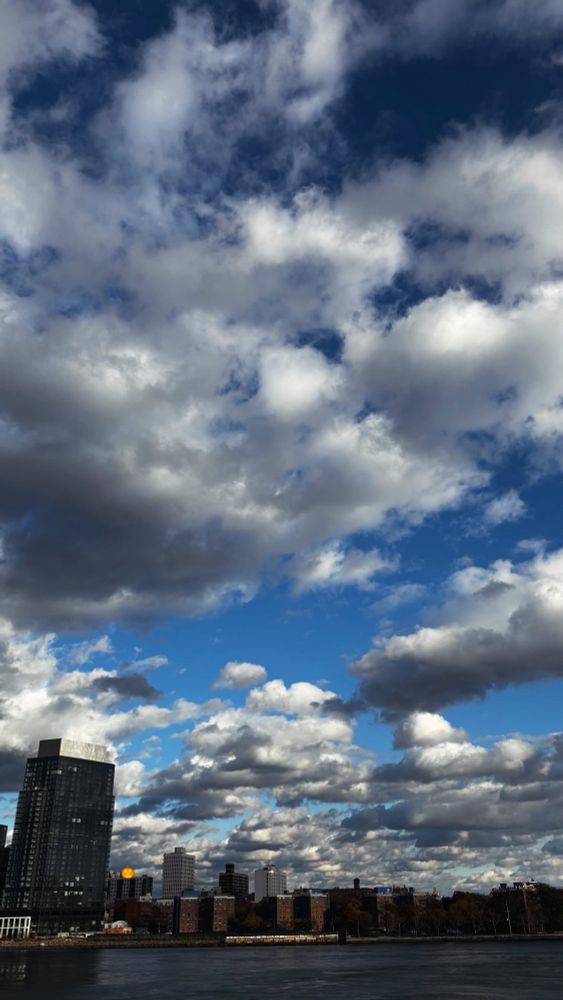 View of Queens from the east river in eastern Manhattan. A little pumpkin can be seen.