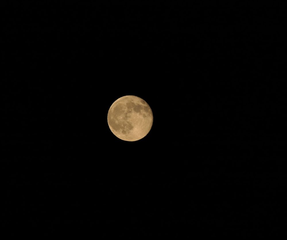 A nearly full yellowish harvest moon in a dark sky, zoomed in with some craters and moon roads visible 