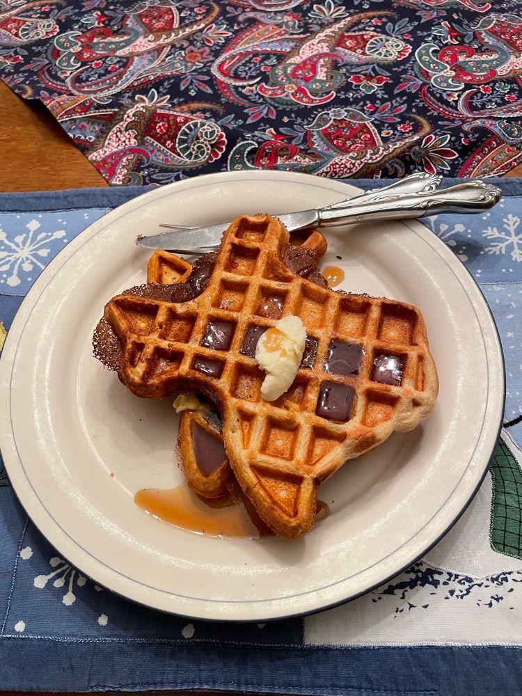 Two Waffles in the shape of Texas 