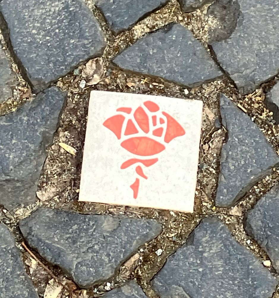 Die Hildesheimer Rose eingelassen in Kopfsteinpflaster 