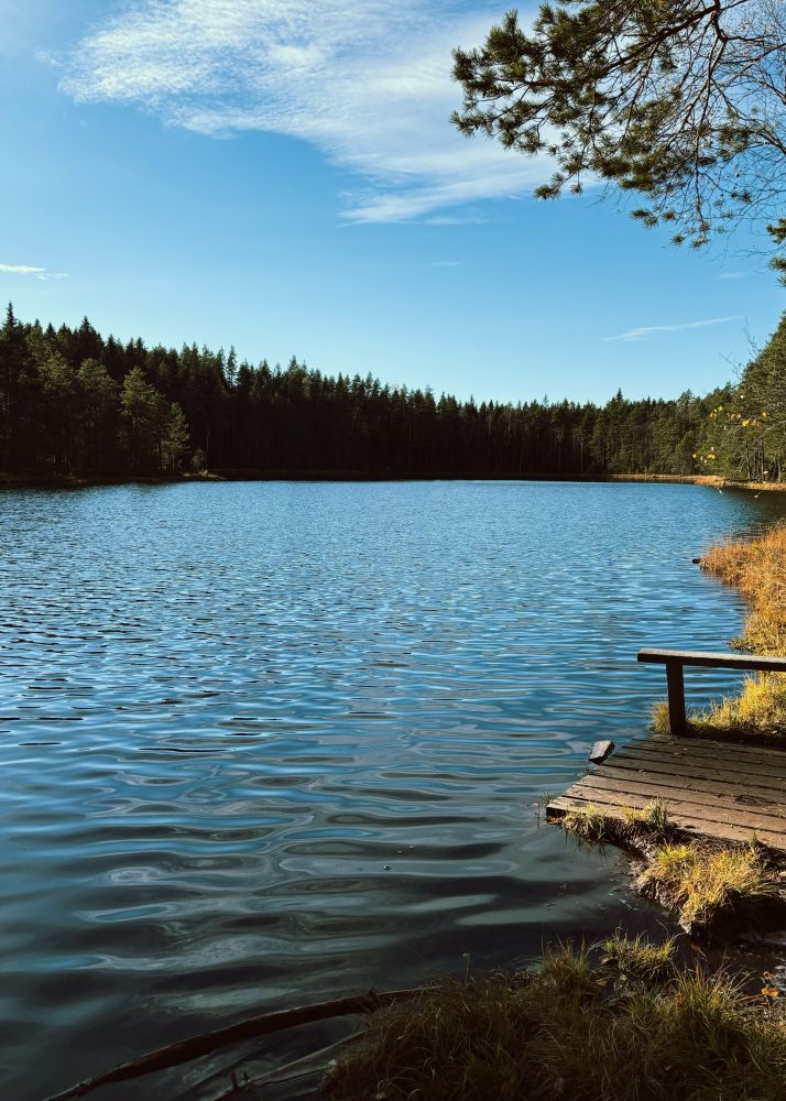 Picture of a lake surrounded by trees, with a small deck in the foreground 