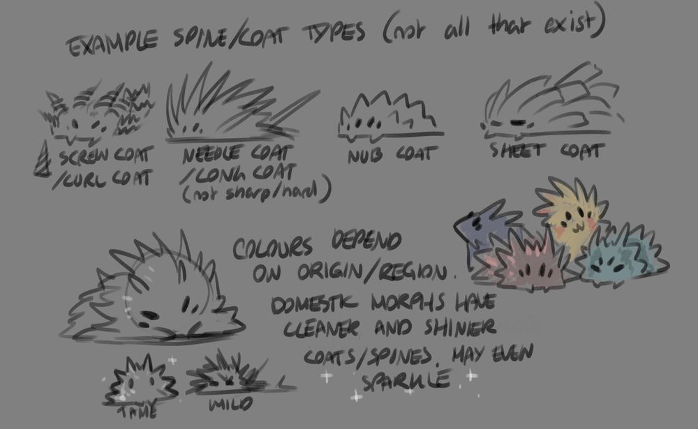 Doodles of ferromorphs n info bout em

- Some examples of their coat/spine type: screw/curl coat, needle/long coat (not actually needles n is pretty soft), nub coat, sheet coat

- Colours of a ferromorph mainly depend on its originator region. 

- Domestic morphs have cleaner and shinier coats/spines with less frayed/rogue spines poking out, depending on quality of husbandry they may even shimmer and sparkle or be glass/crystal polished looking. 

- The colour depends on the main metal or trace element component that made up their core when first formed. They can have a mix of colours and some patterns. Patterns become more clear if theyre well cared for so their spines become more uniform n better show off their clean colours.