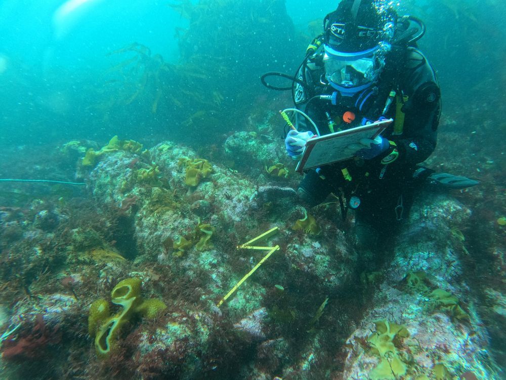 a diver recording an underwater wreckage 
