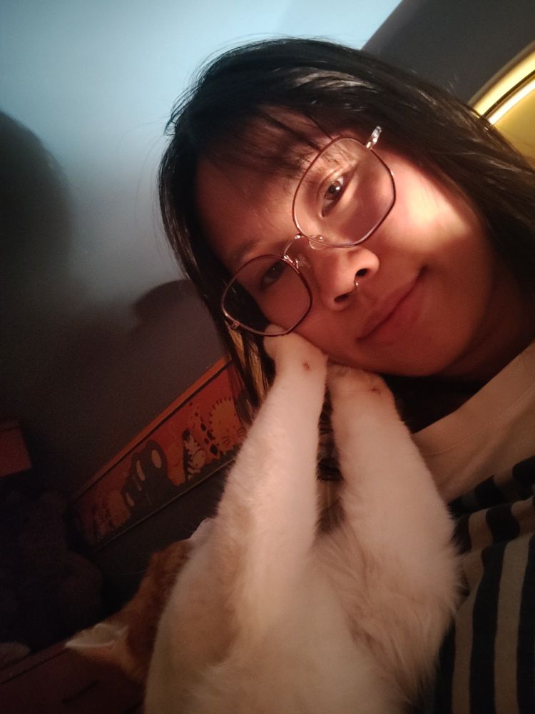 Selfie de moi avec un chat couché sur une petite de torse
Ses deux pattes avant sont posées sur ma joue
Le chat est blanc et roux