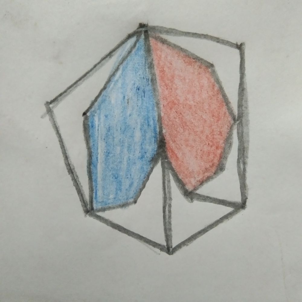 polygon 
