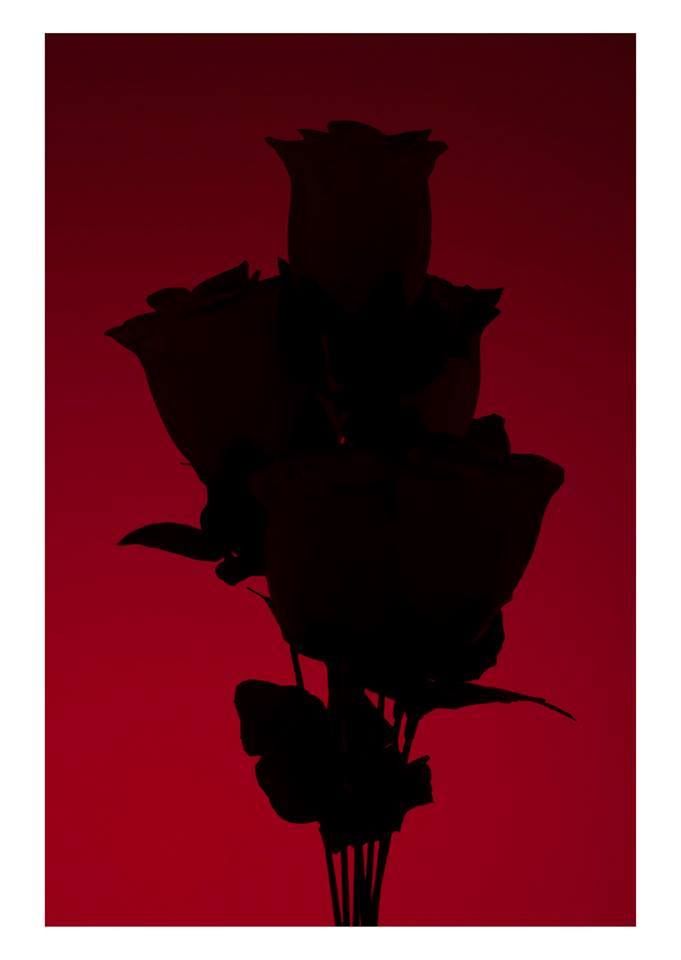 A silhouetted small bouquet of roses against a red, gradient background.