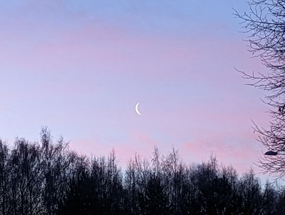 Crescent moon is in the centre of the image, sounded by a pale blue and lilac sky.  Framed at the bottom and the right of the image by silhouetted trees and branches.