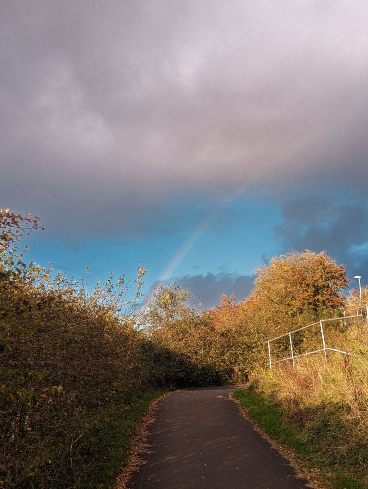 Image of an upward bath surrounded by grass and various plants/bushes. The sky at the top of the image is dark grey with clouds while in the middle of the image it is bright blue with a rainbow arching over the path to the right side of the image.