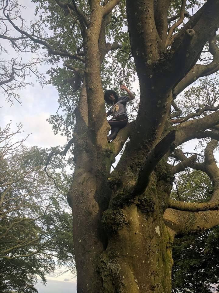 Woman (the poster) high up a tree, facing down and giving the thumbs up to the photographer.