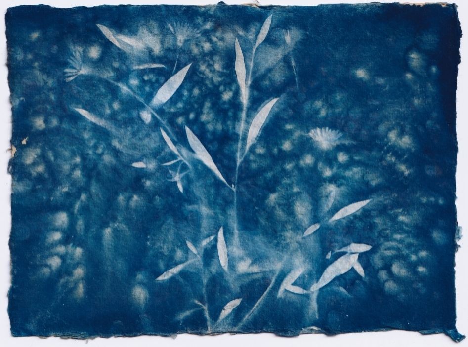 Wet cyanotype