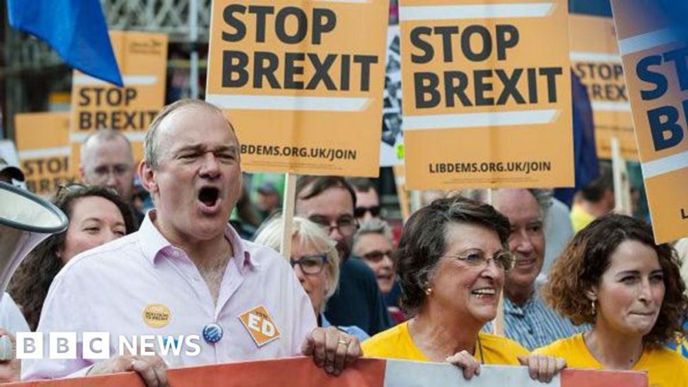 Brexit truce as pro-EU Lib Dems focus on long game