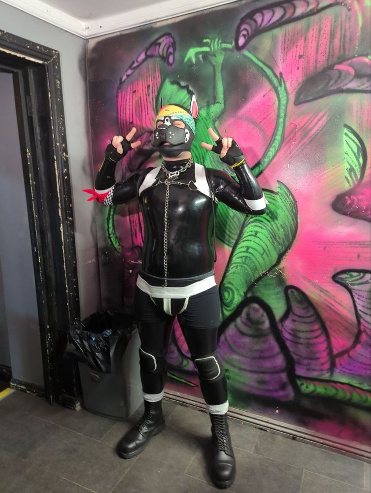 I'm standing in my full rubber outfit in front of a multicoloured wall. I have a white harness, black and white jockstrap and black knee pads. Also Black heavy leather boots with white socks folded over on the top, and a chain leash clipped on to my heavy chain collar, and different coloured bandanas on my arm, one Red and one black and white checkered. 