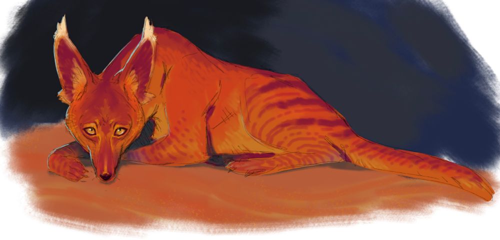 Foxlike creature with large fluffy ears and vibrant red fur. Yellow sad eyes look up as they lie down on equally red sand. Their legs have dashed stripe patterns on them of darker crimson.